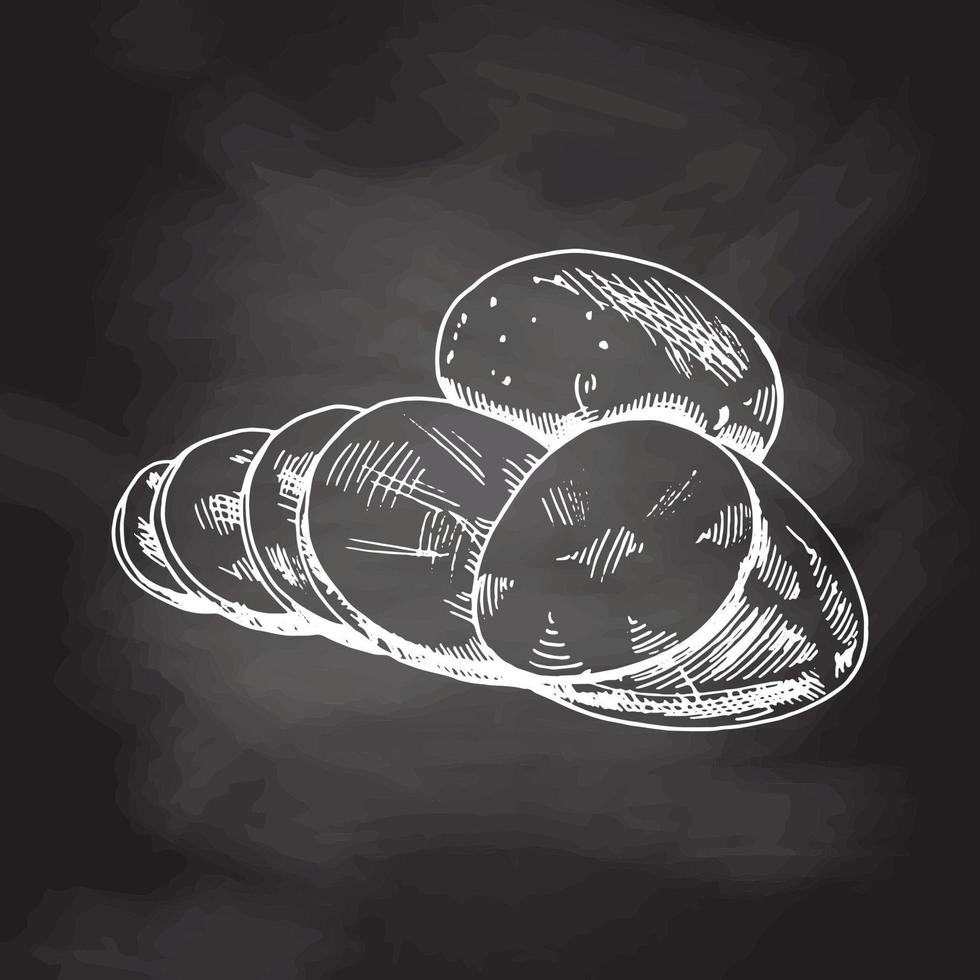 boceto de patata, ilustración vectorial dibujada a mano. imagen grabada.boceto blanco aislado en pizarra negra. Ilustración de vector vintage de comida ecológica.