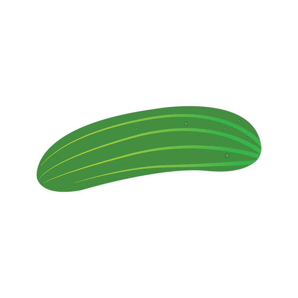 cucumber icon vector
