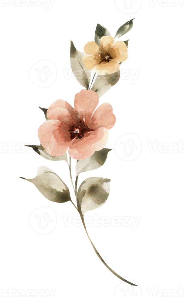 Afdeling met roze bloemen, waterverf illustratie. png