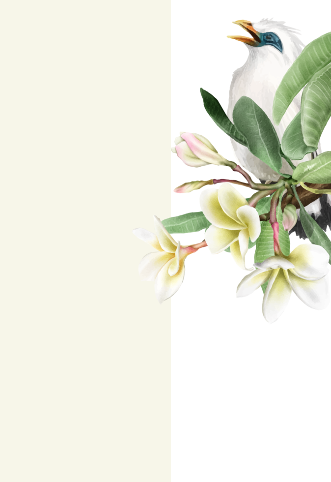 Wedding invitation with plumeria flowers illustration png