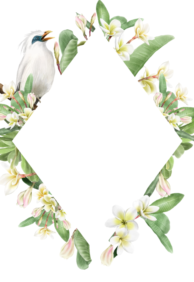 bröllop inbjudan med plumeria blommor illustration png