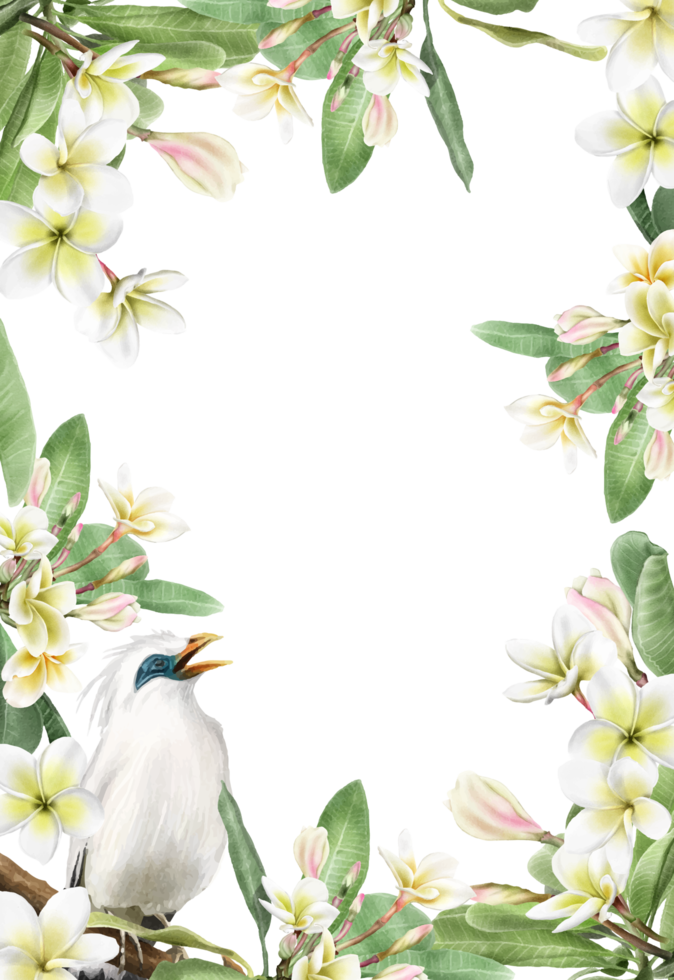 nozze invito con plumeria fiori illustrazione png