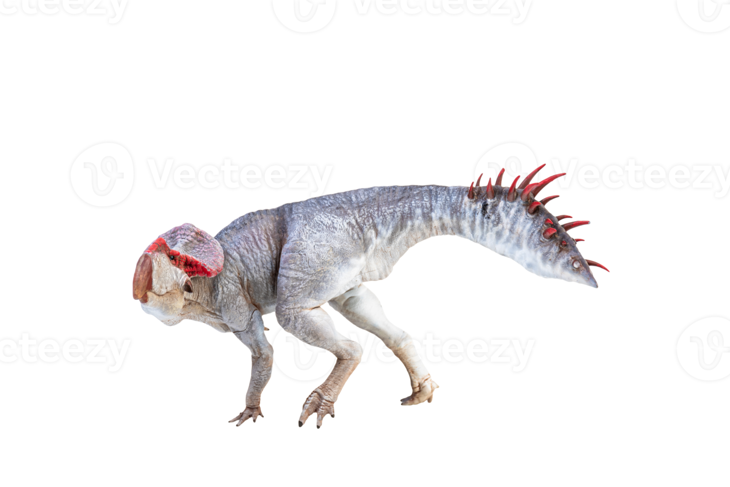 Protoceratops  , dinosaur on  isolated background png