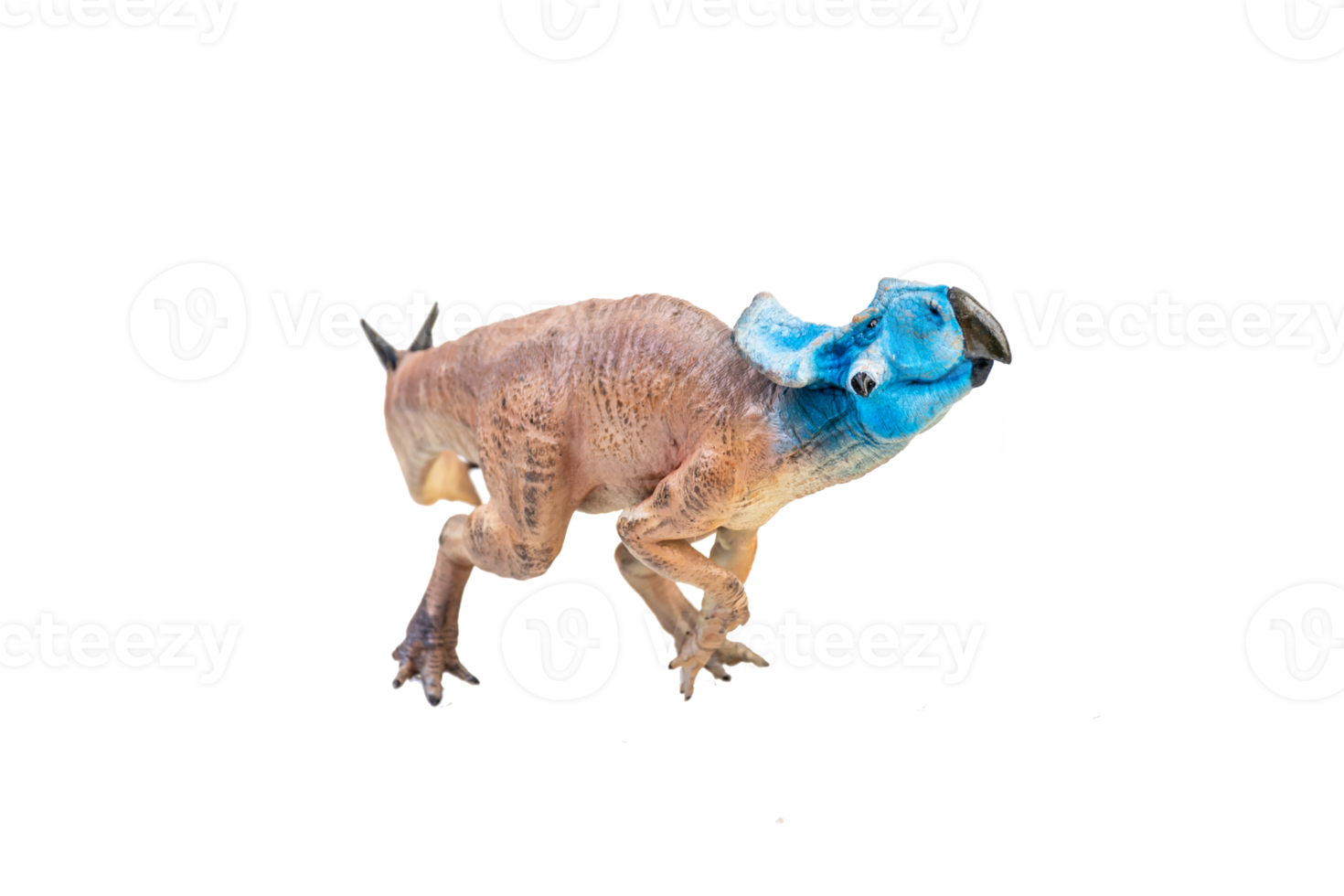 Protoceratops  , dinosaur on  isolated background png