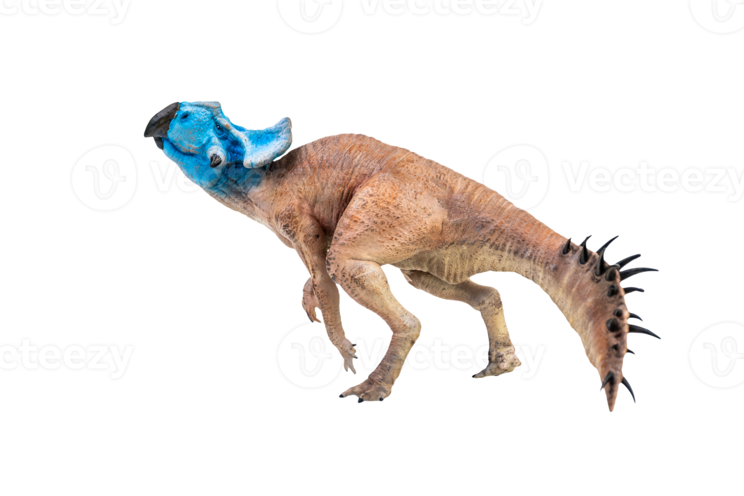 Protoceratops  , dinosaur on  isolated background png