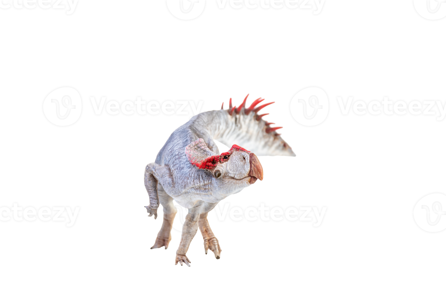 Protoceratops  , dinosaur on  isolated background png