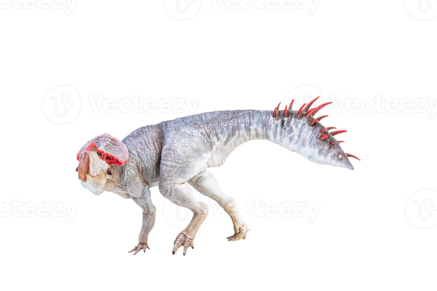Protoceratops  , dinosaur on  isolated background png