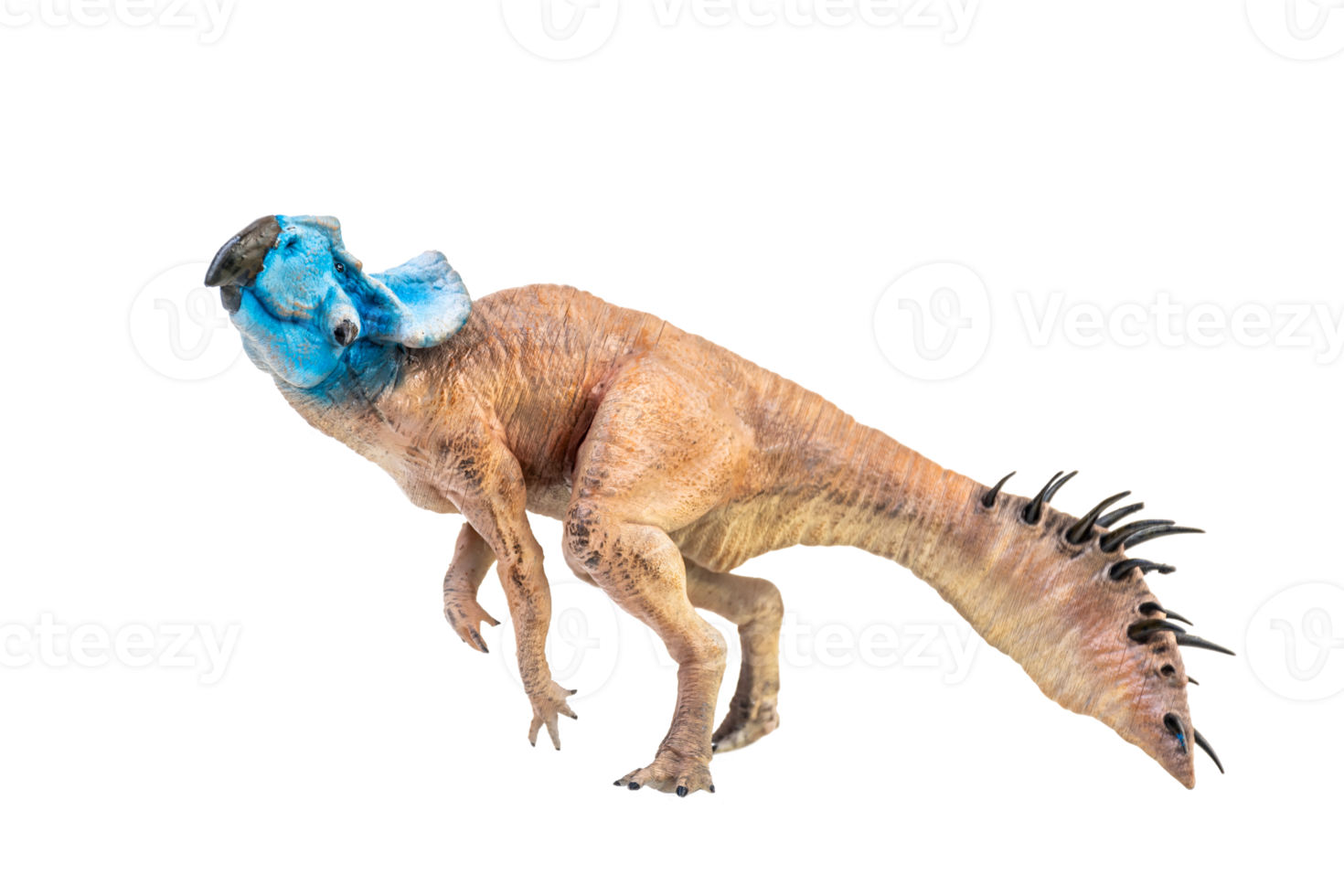 Protoceratops  , dinosaur on  isolated background png