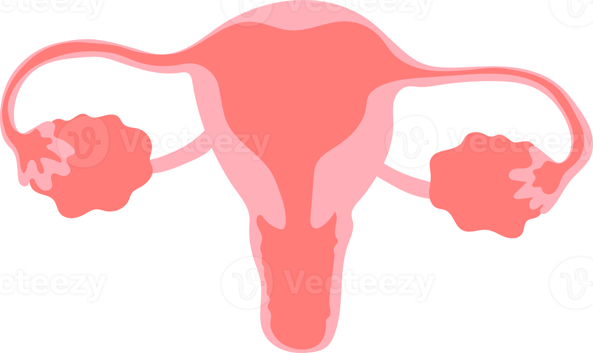 Cute kawaii funny mascot organ character female reproductive system