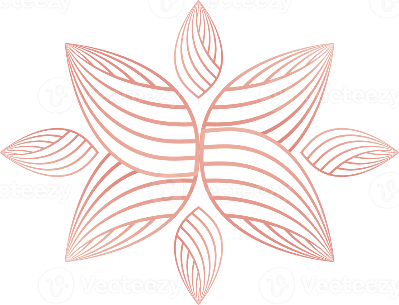 fiore petali, fiore linea ornamento png