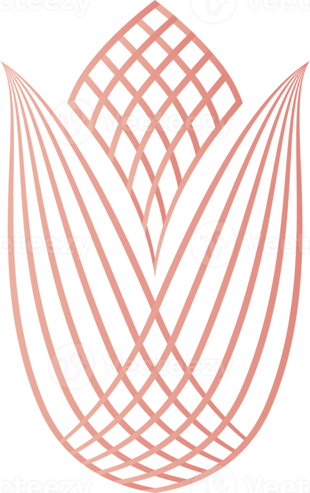 flower petals, flower line ornament png