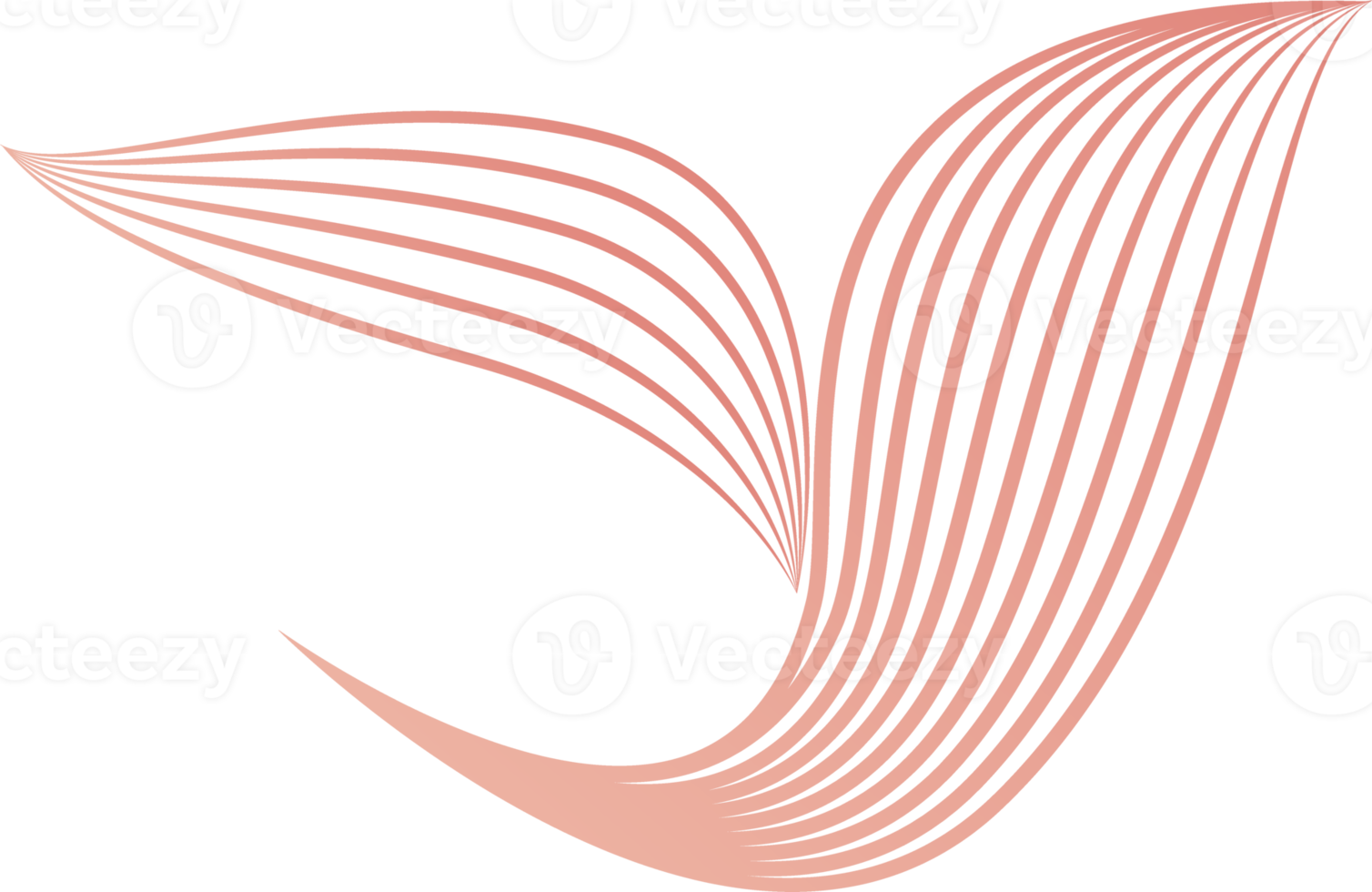 blütenblätter, blumenlinienverzierung png