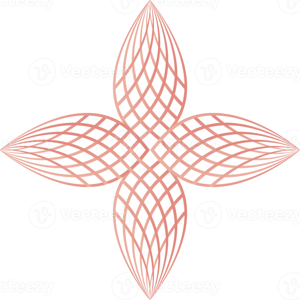 flower petals, flower line ornament png