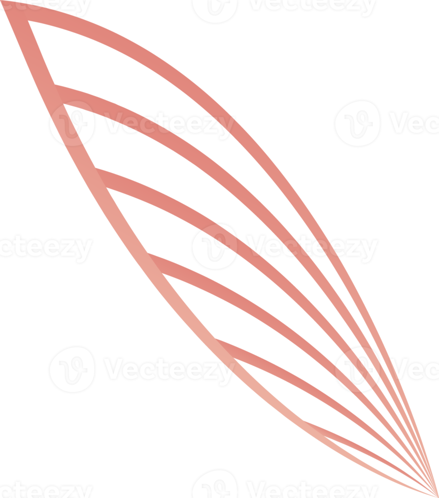 blütenblätter, blumenlinienverzierung png