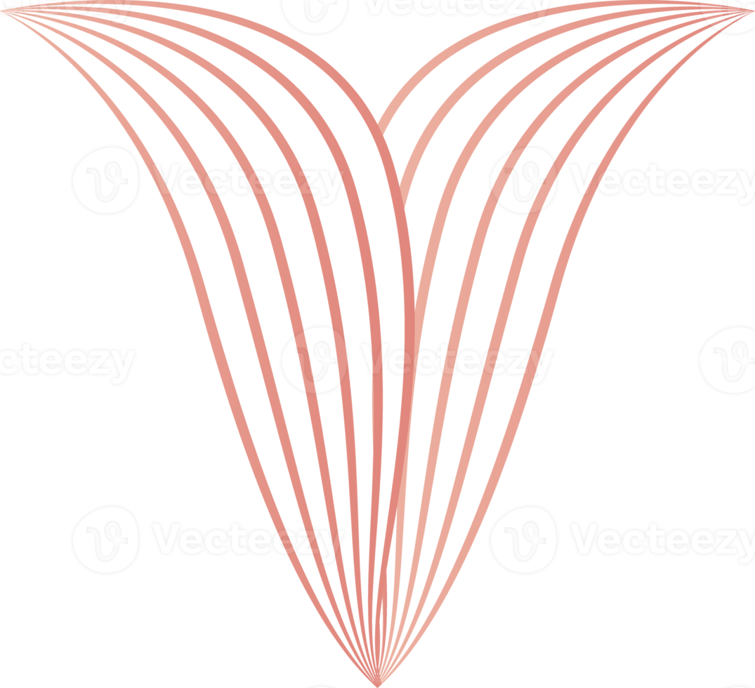 blütenblätter, blumenlinienverzierung png