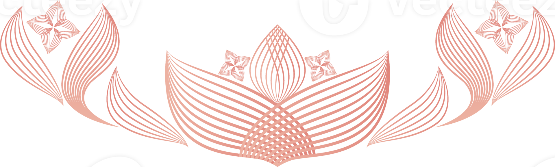 fiore petali, fiore linea ornamento png