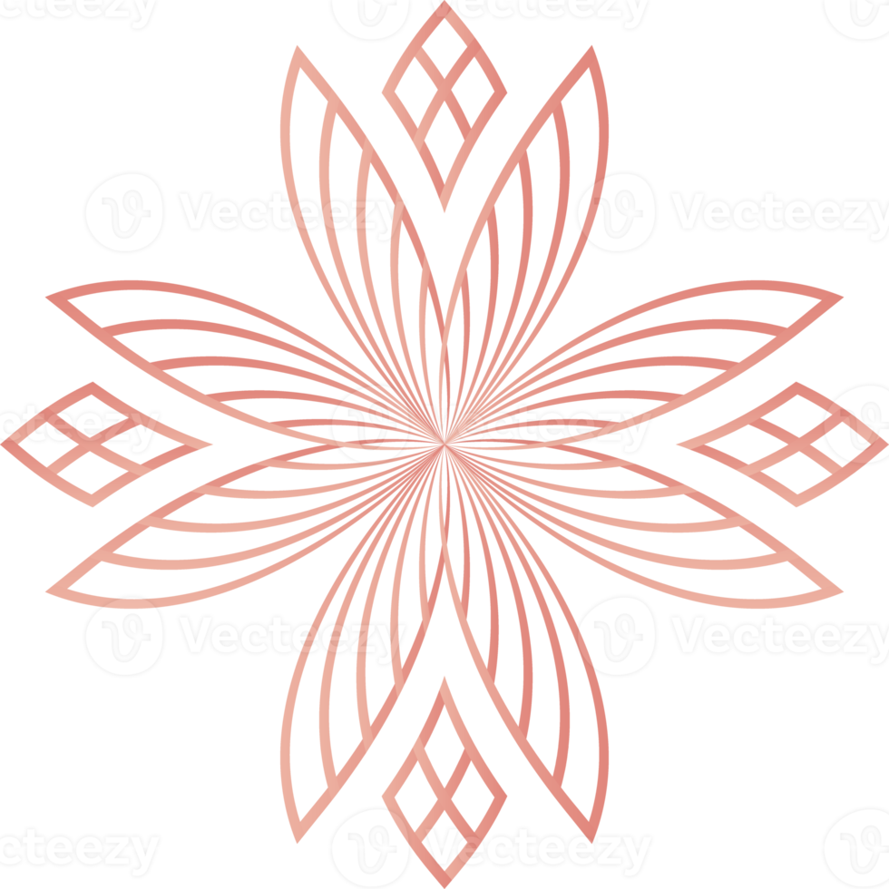 flower petals, flower line ornament png