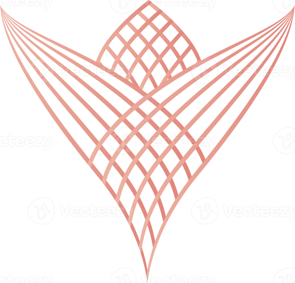 flower petals, flower line ornament png