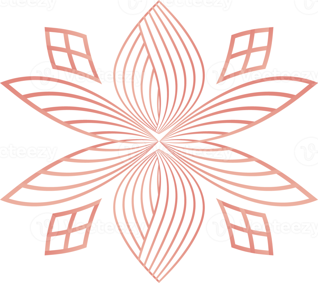flower petals, flower line ornament png