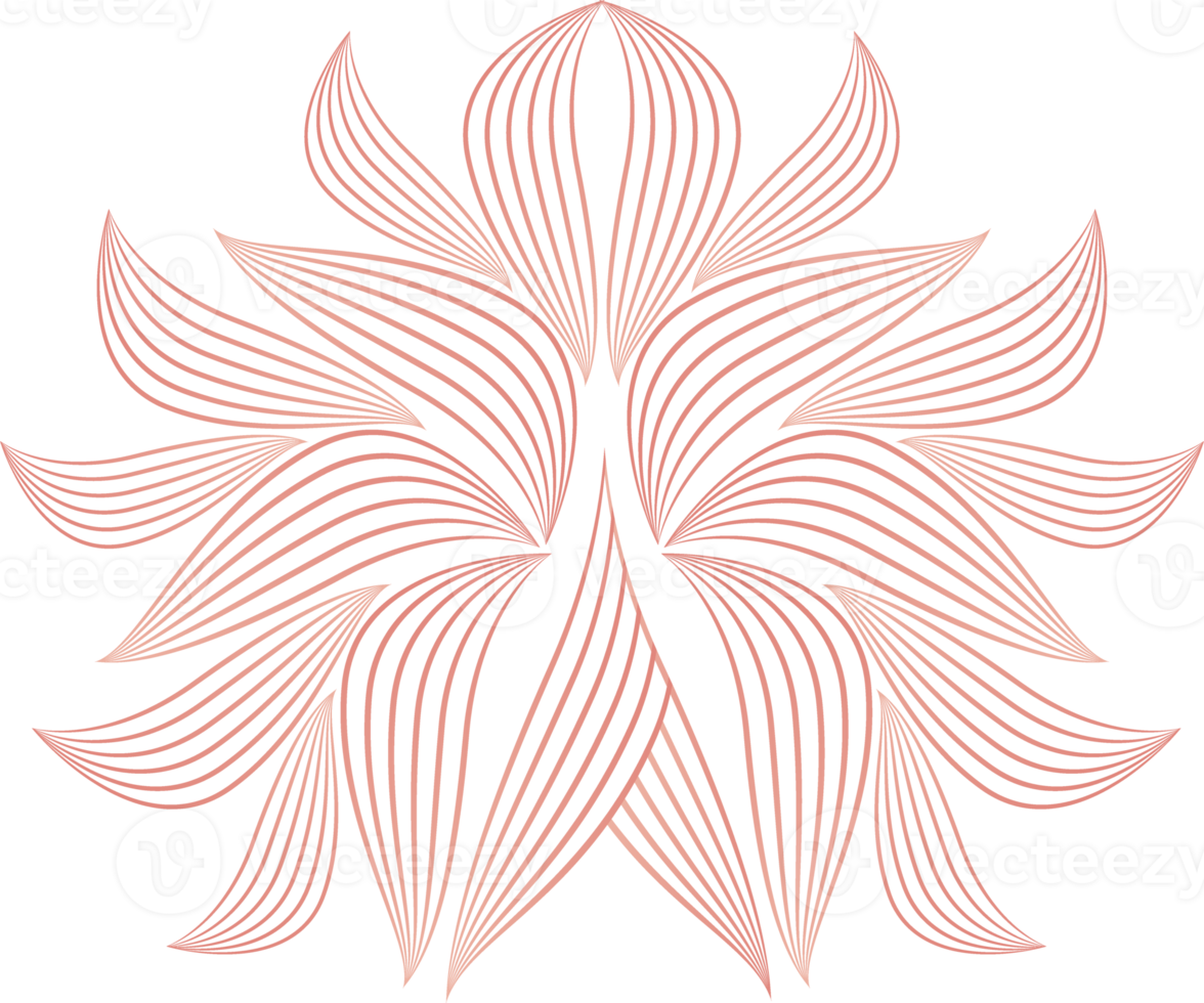 flower petals, flower line ornament png