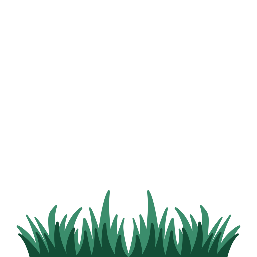 Decorative Aesthetic Grass for Ornament Decoration png