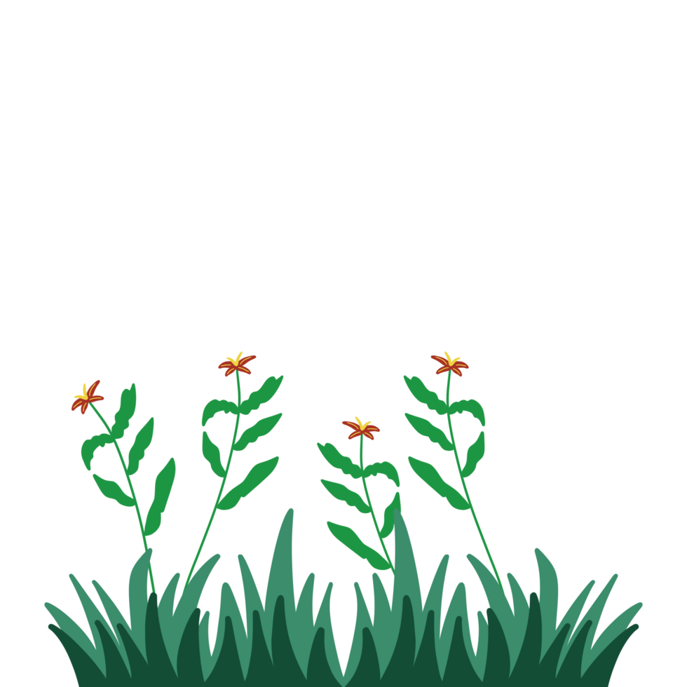 dekoratives ästhetisches gras mit blumen für ornamentdekoration png