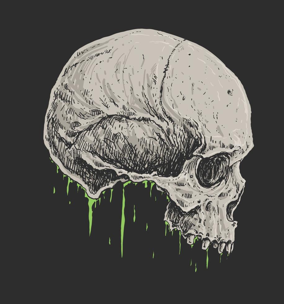 Bloody Skull Bones Drawing Illustration vector