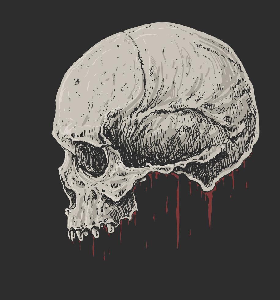 Bloody Skull Bones Drawing Illustration vector