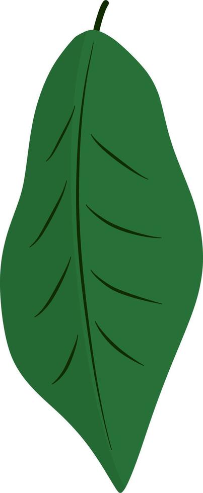 hermosa hoja verde vector