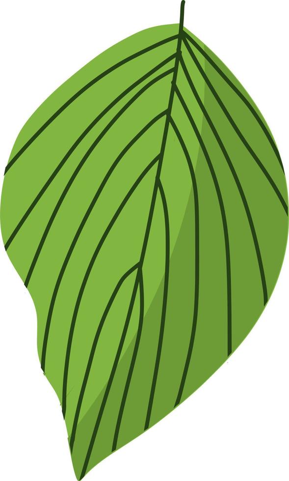 hermosa hoja verde vector