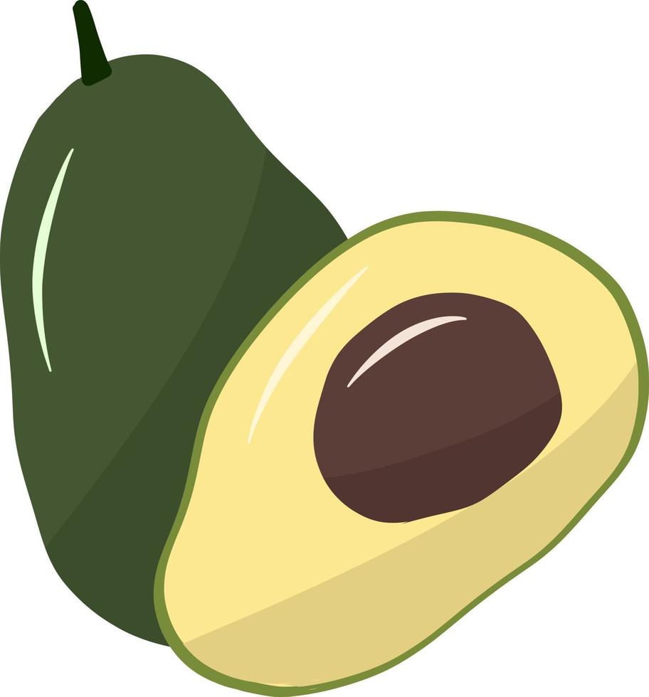 aguacate de fruta fresca vector