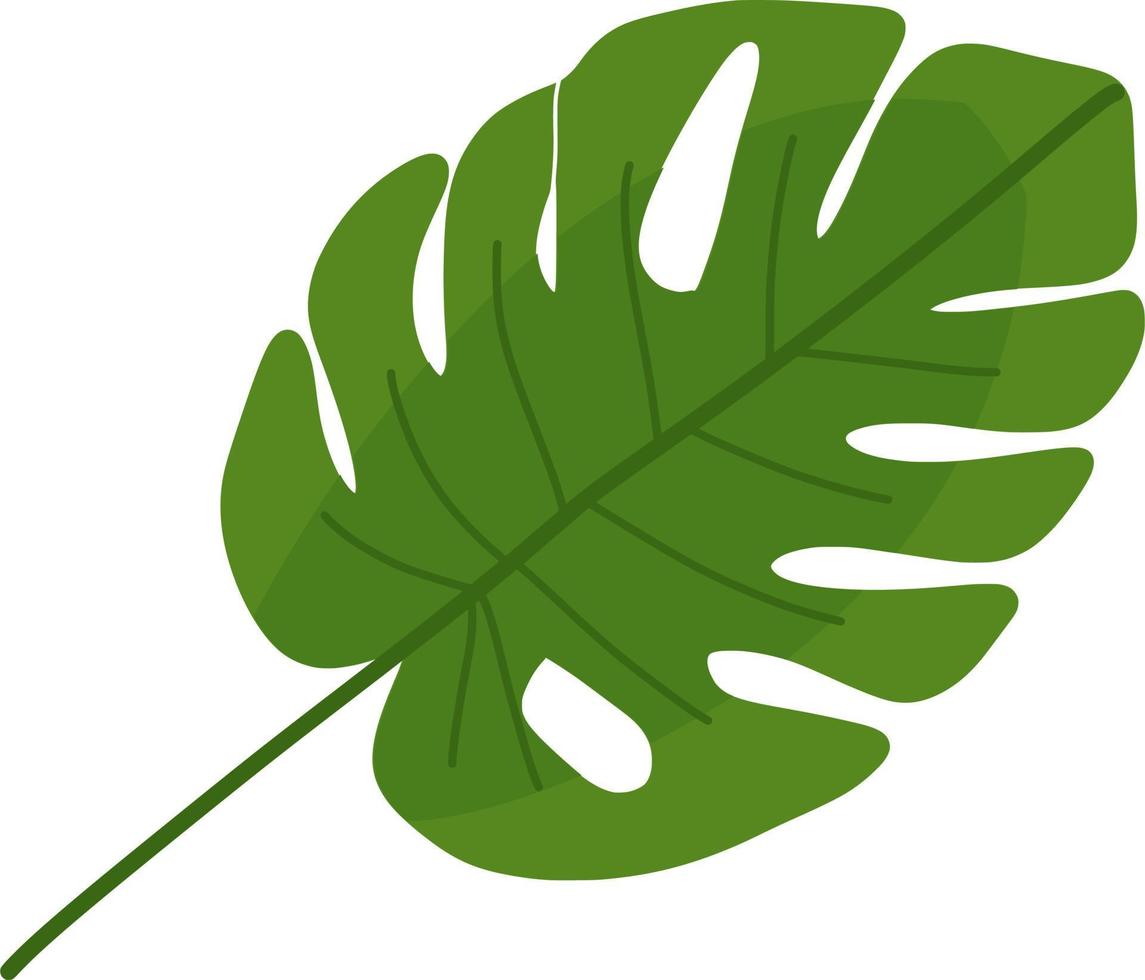 Beautiful green leaf vector