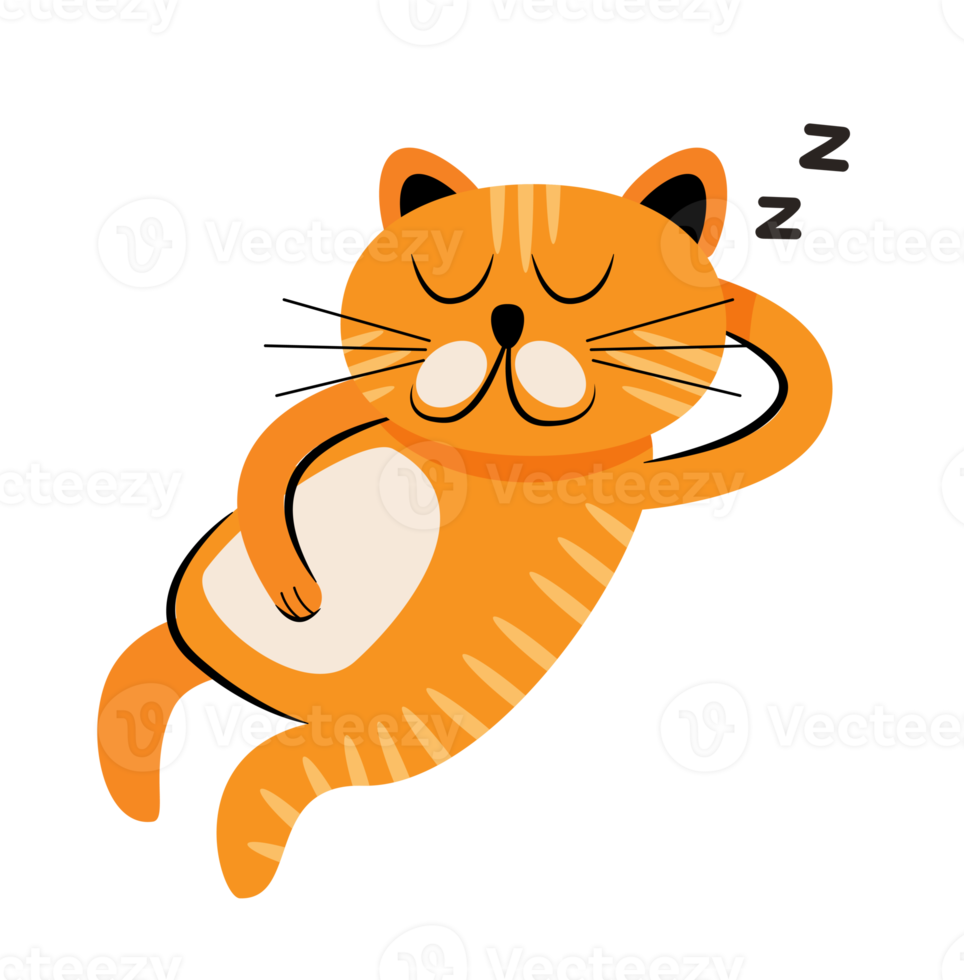 cute sleeping cat png