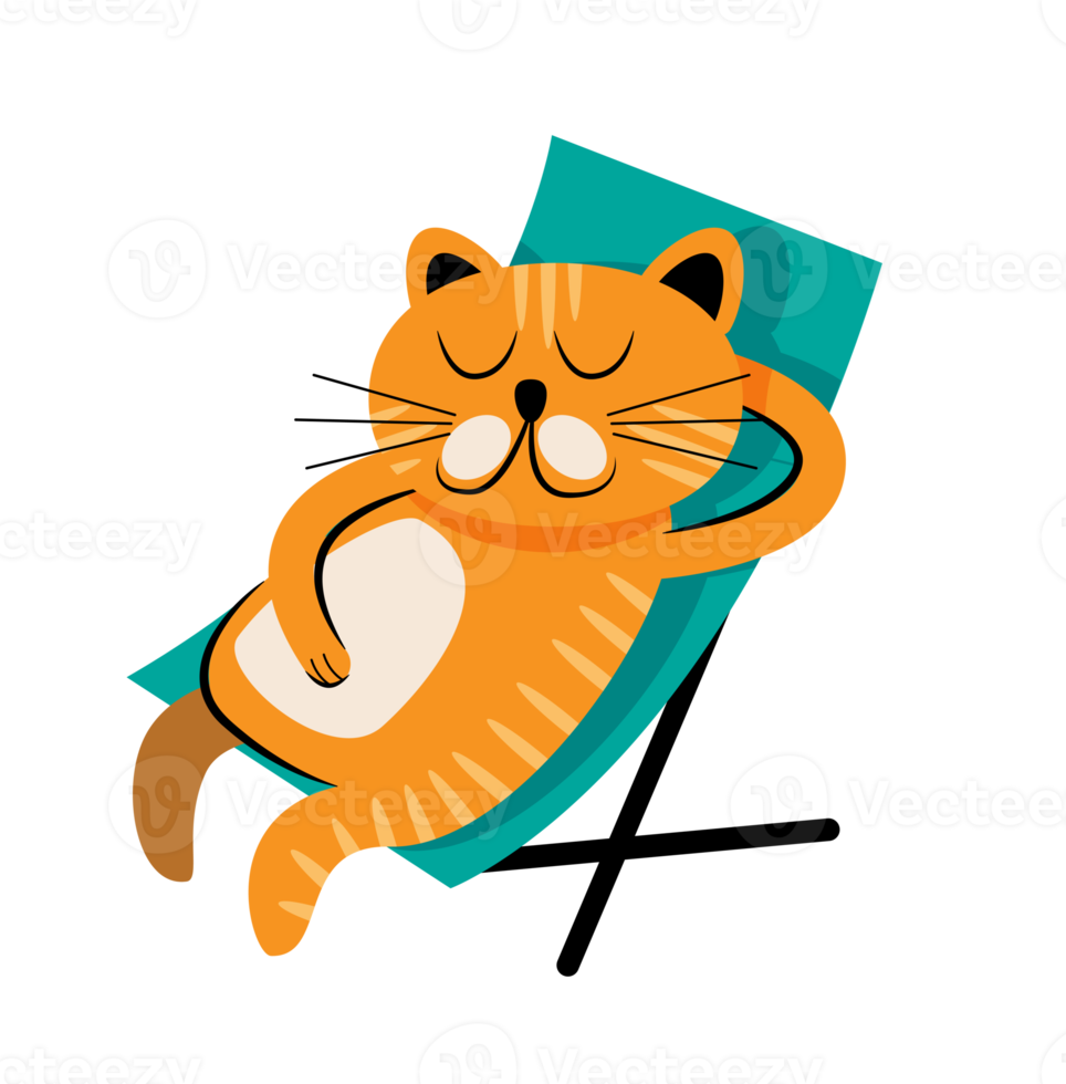 cute sleeping cat png