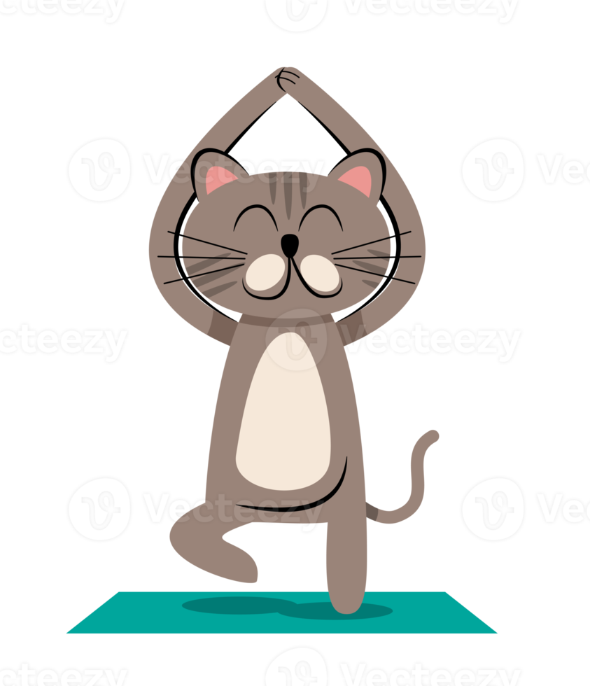 cat yoga illustration png