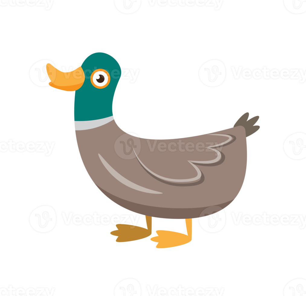 duck cartoon character png