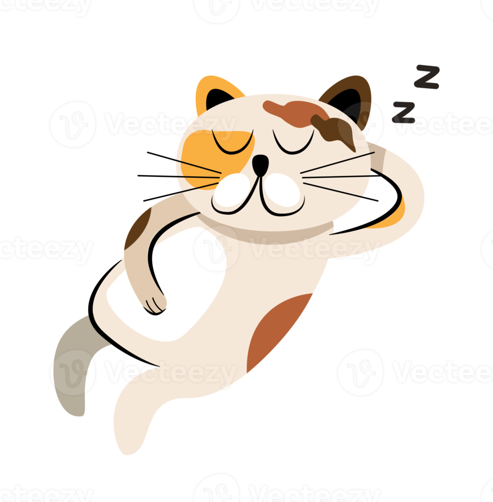 cute sleeping cat 17221525 PNG