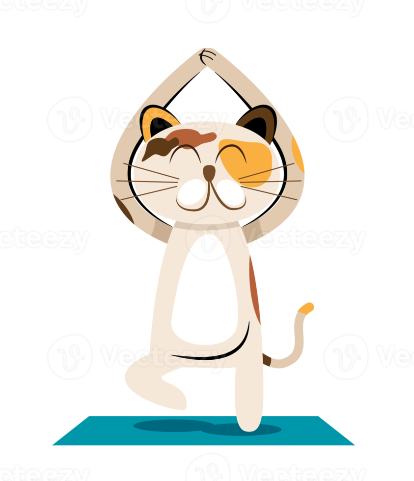 cat yoga illustration png