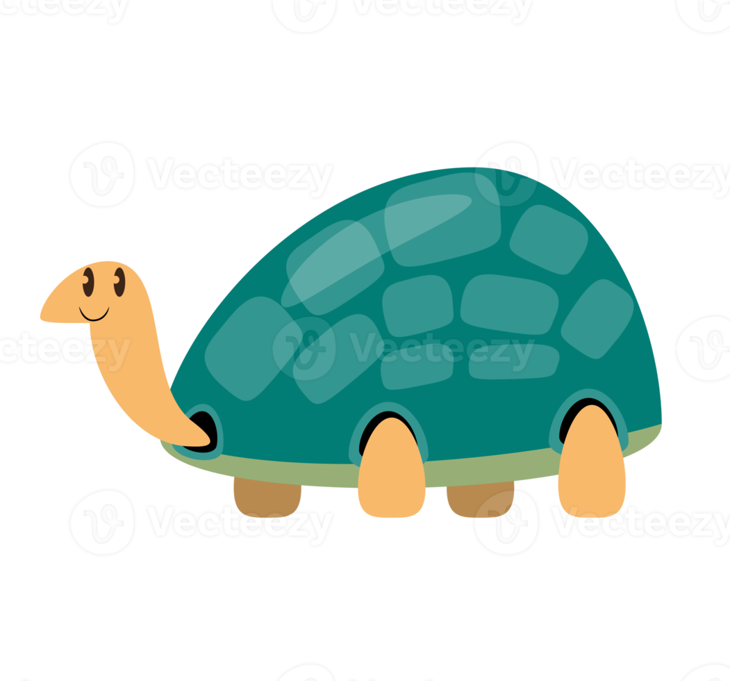 turtle cartoon character png