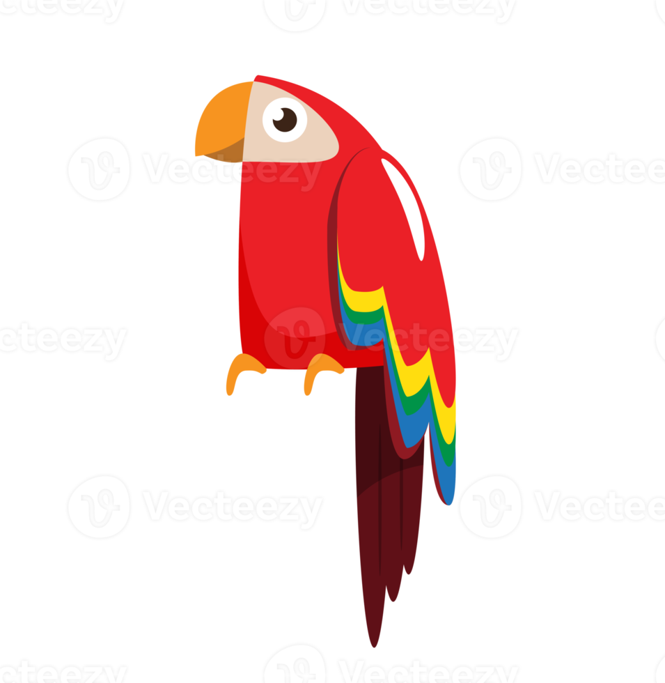 parrot cartoon character png