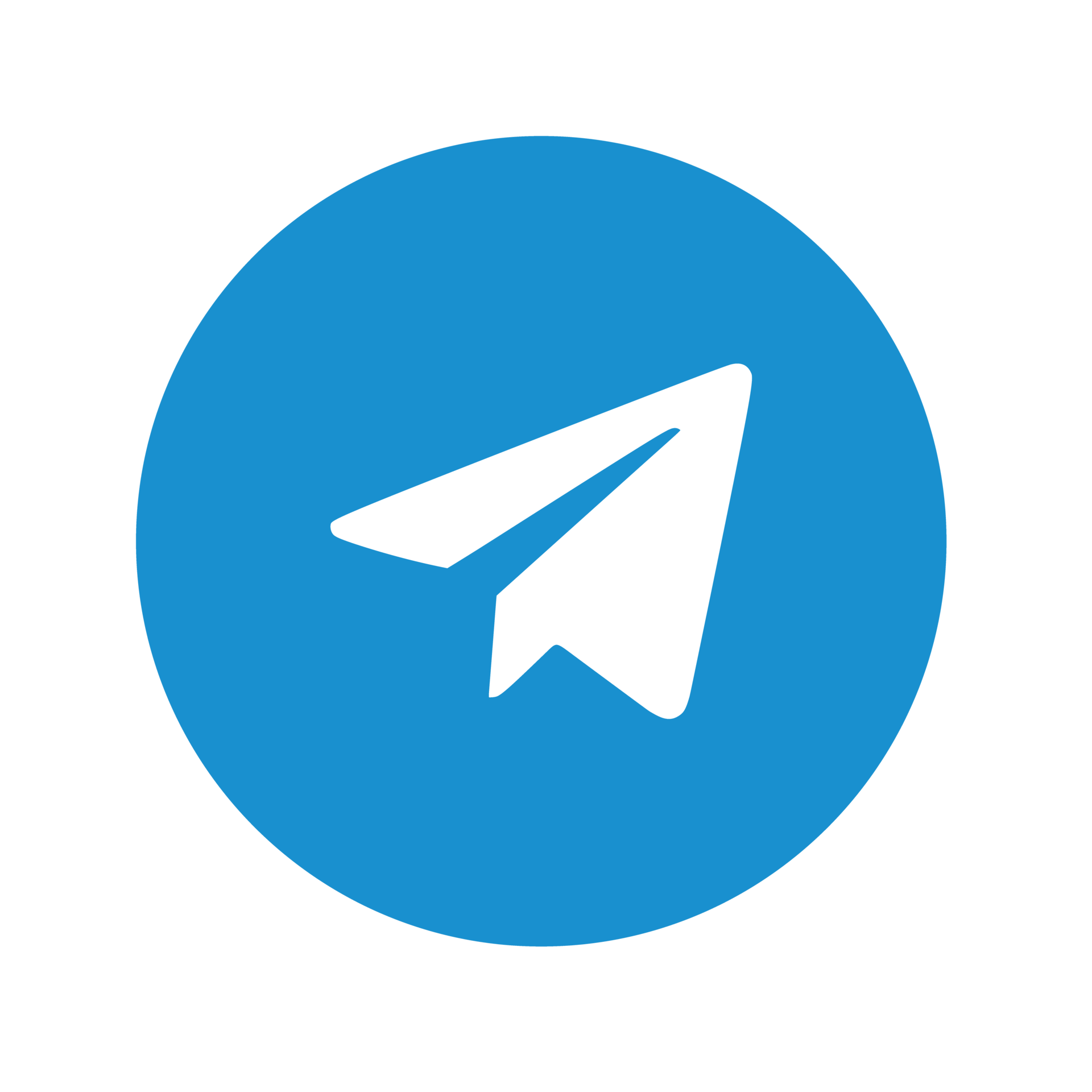 telegram logo png transparent 17221839 PNG
