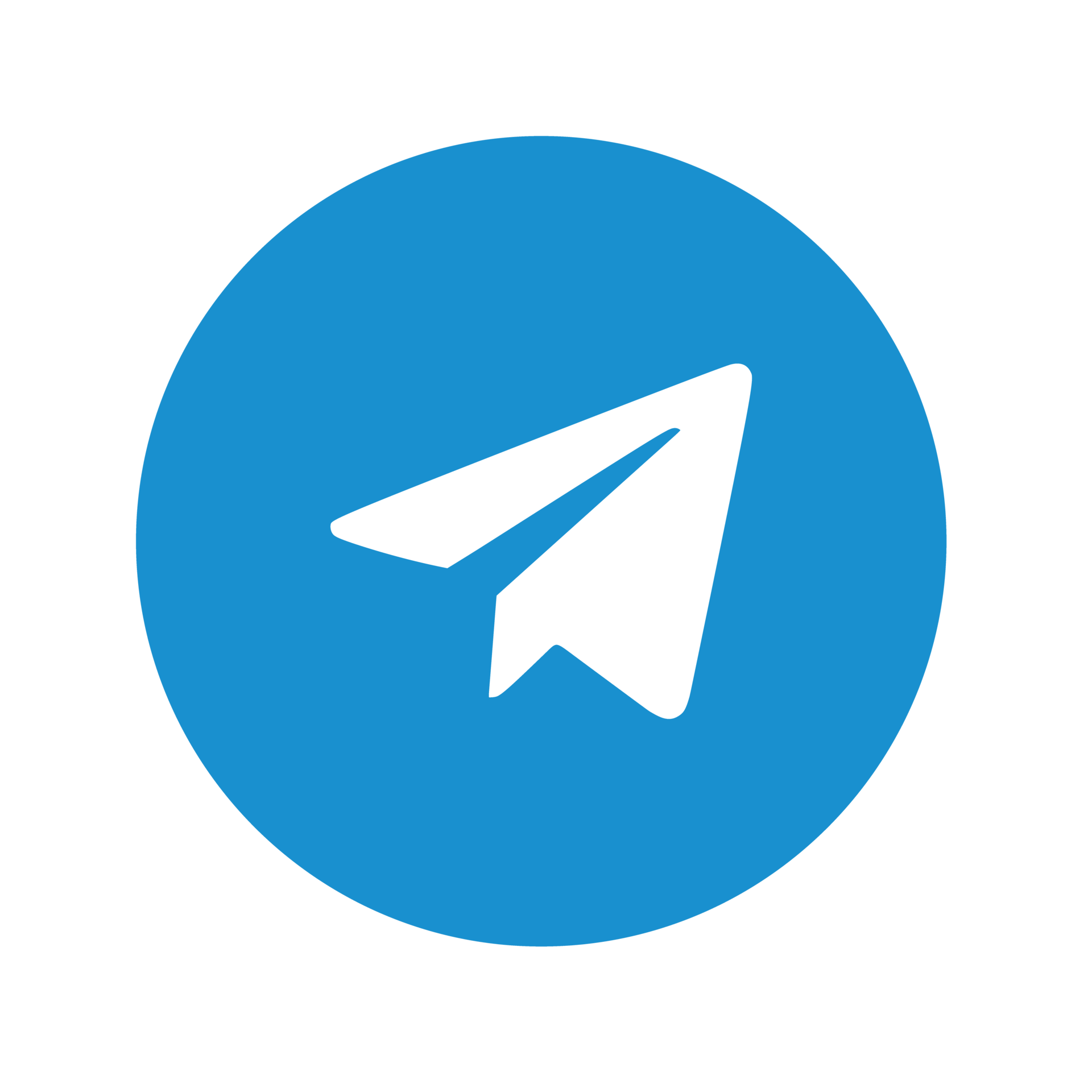 telegram logo png transparent 17221839 PNG