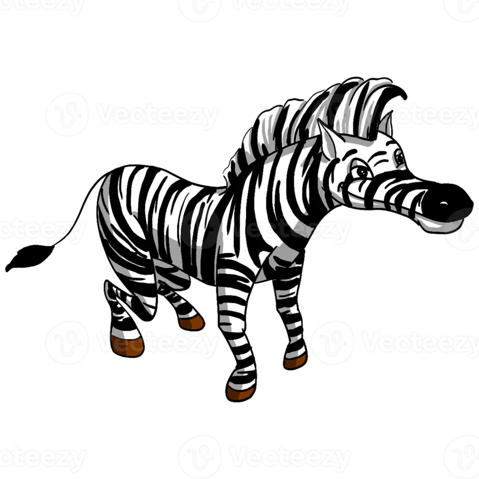 zebra cartone animato animale png
