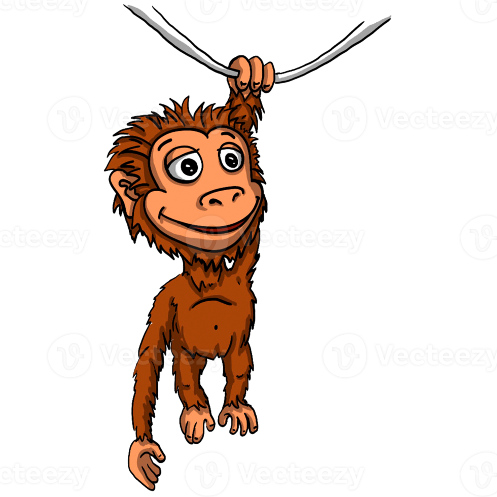 Monkey cartoon animal png