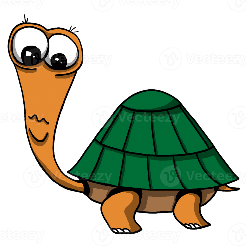 Turtle cartoon animal png