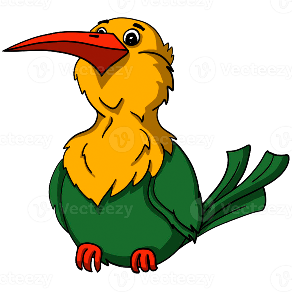 Bird cartoon animal png