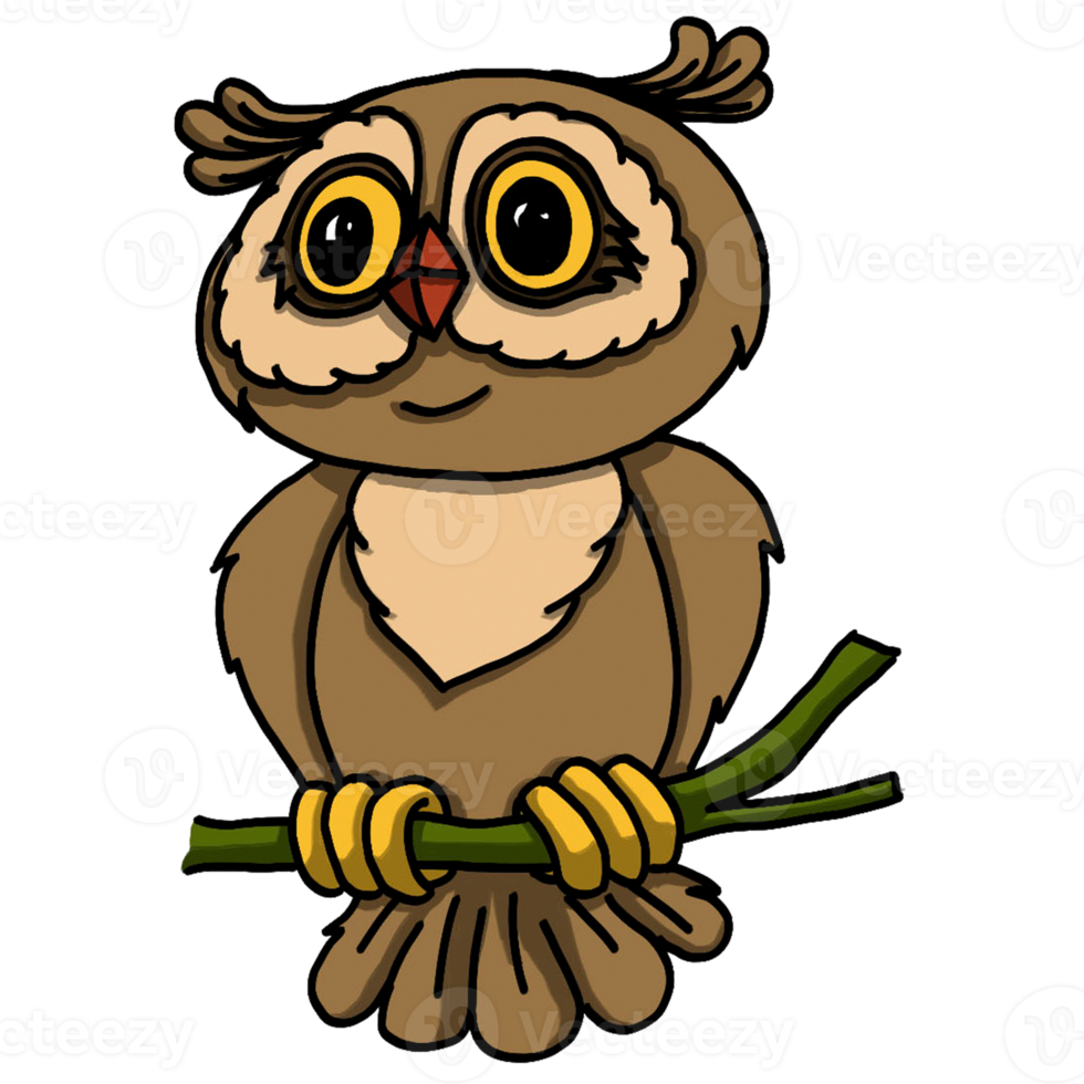 Owl cartoon animal png