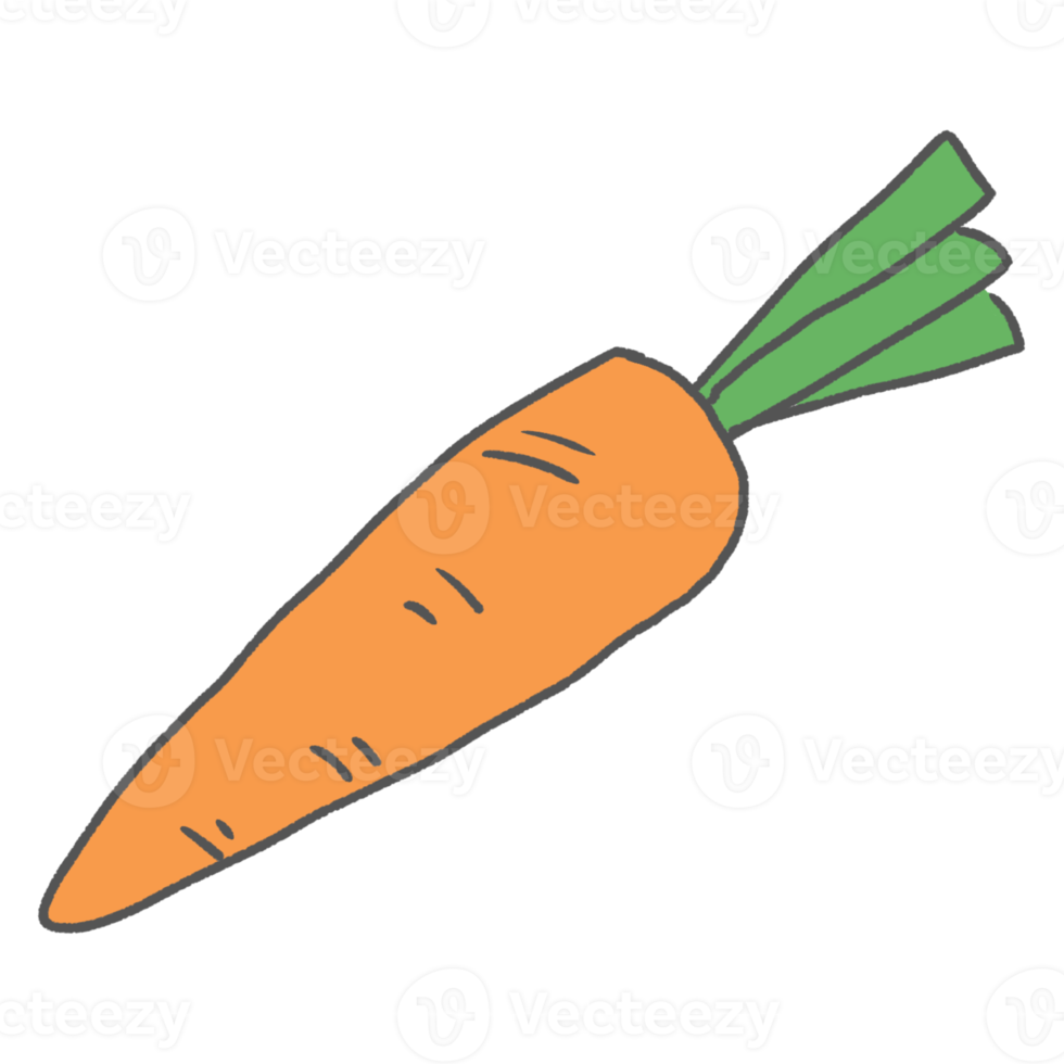 Fresh Carrot for Health png