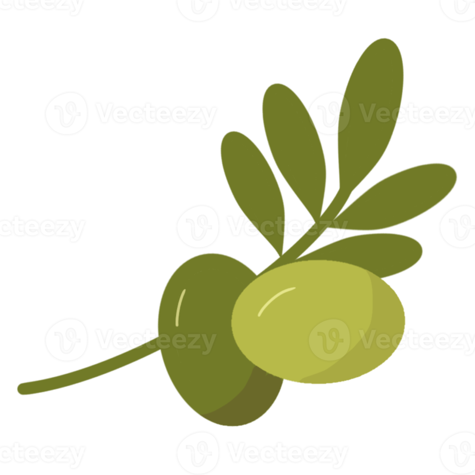 vegetal de oliva para la salud png