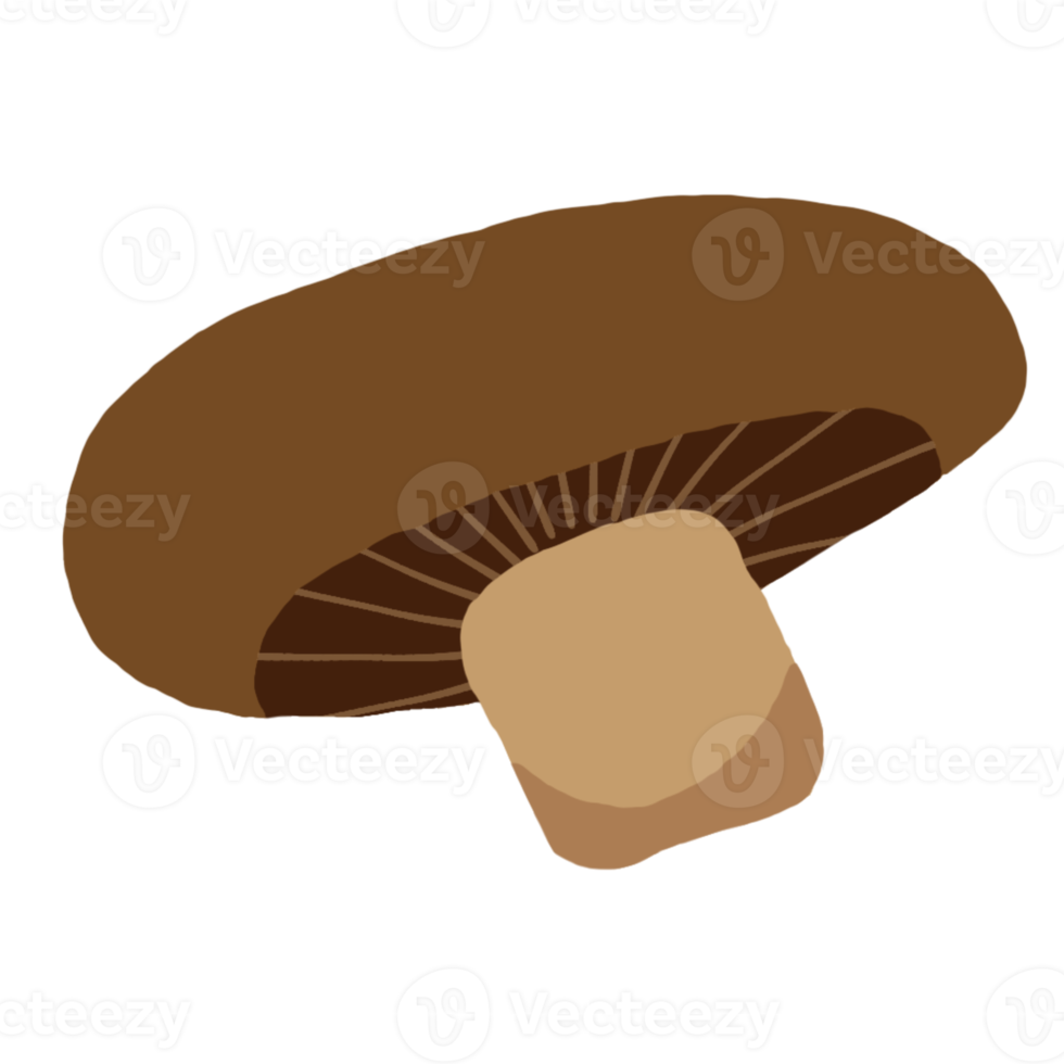 champignon, légume, nourriture saine png